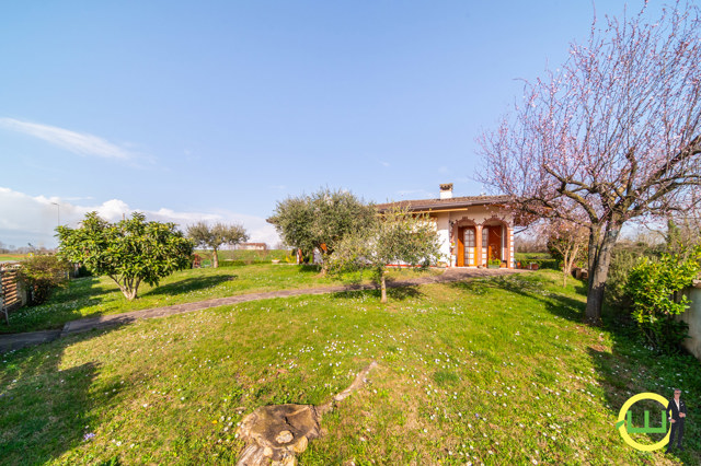 Media numero 45 di SPAZIOSA VILLA TRICAMERE CON AMPIO GIARDINO PRIVATO a Sedegliano