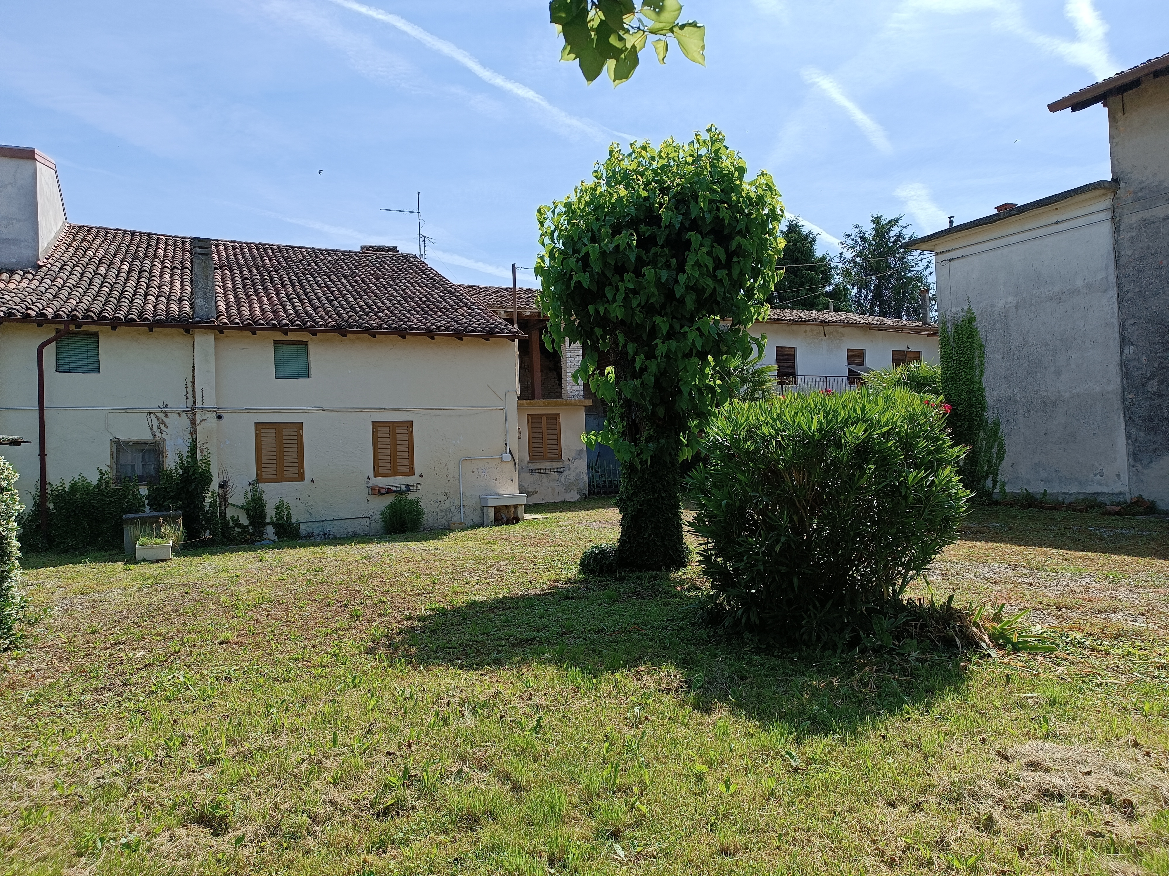 Media numero 3 di RUSTICO CON GIARDINO ESCLUSIVO A SAN VITO AL TORRE