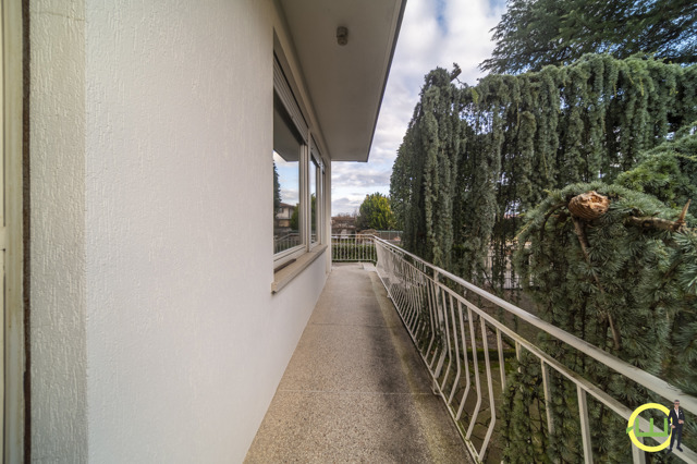 Media numero 17 di VILLA DALLA MODERNA ARCHITETTURA (CARPACCO)