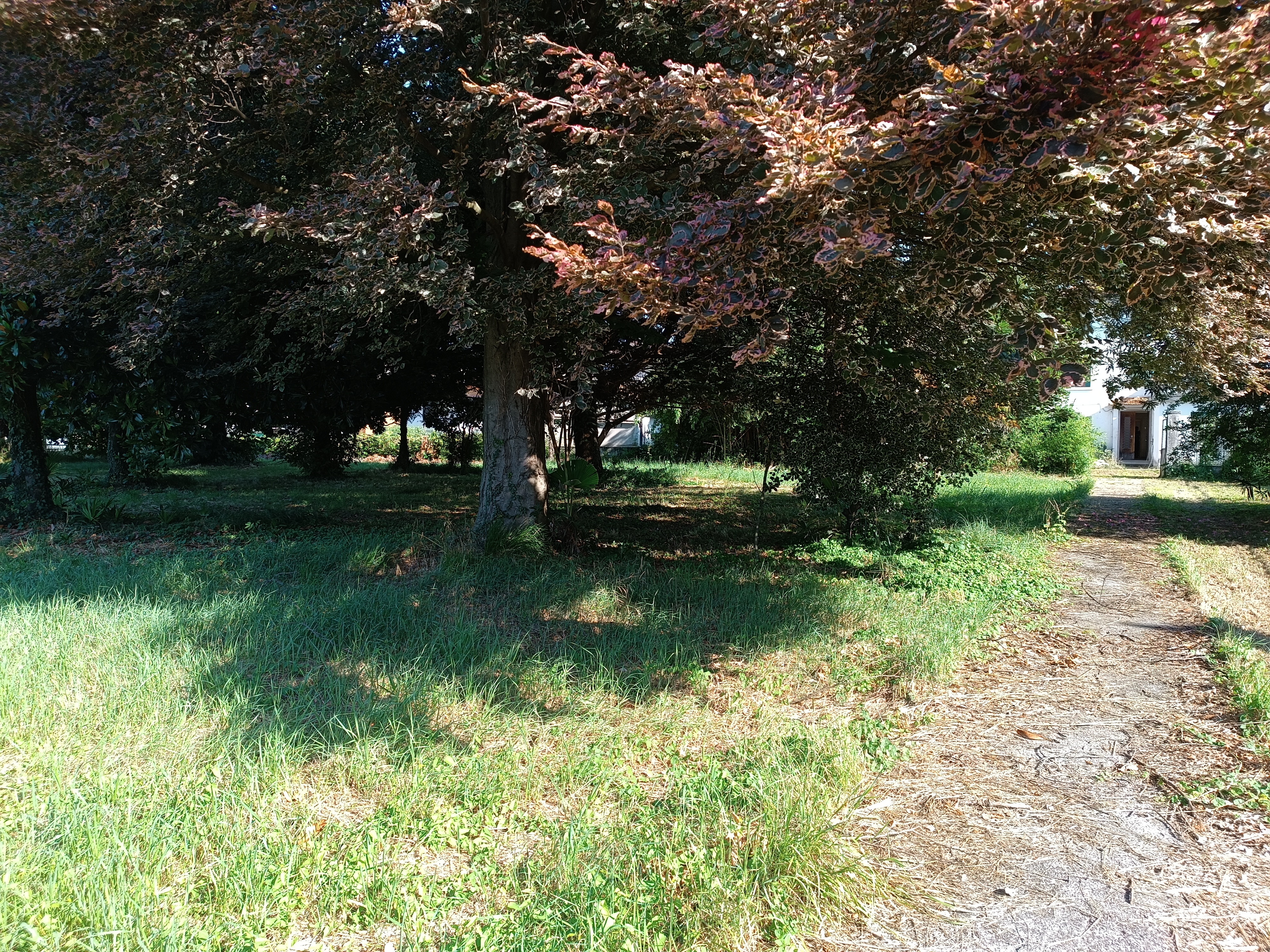 Media numero 45 di VILLA D'EPOCA CON STUPENDO PARCO A CORNO DI ROSAZZO