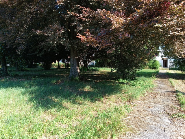 Media numero 45 di VILLA D'EPOCA CON STUPENDO PARCO A CORNO DI ROSAZZO