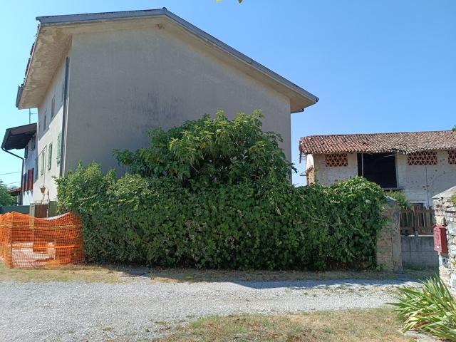 Media numero 7 di RUSTICO CON SPETTACOLARE GIARDINO NELLA FIABESCA GIASSICO DI CORMONS