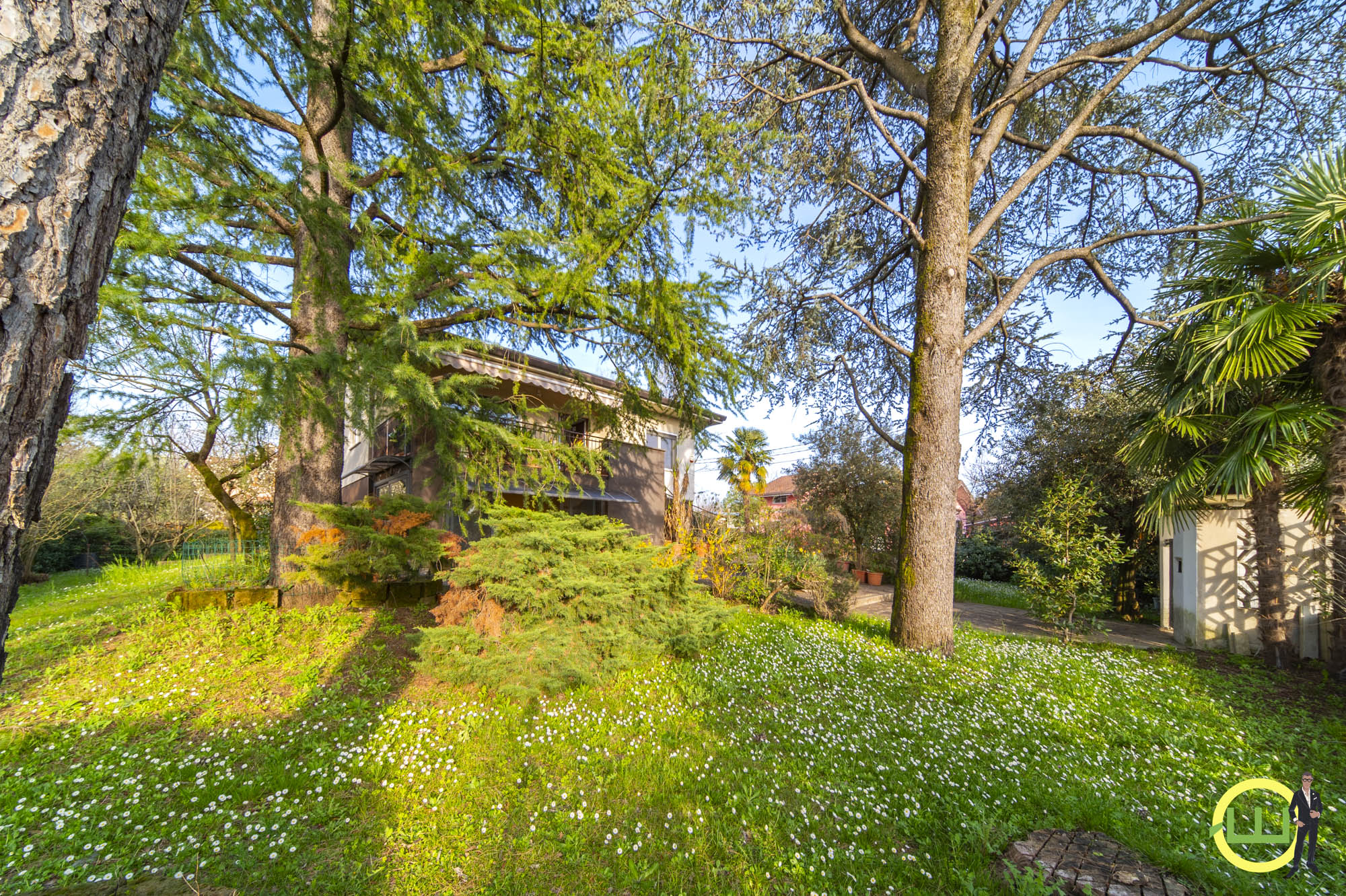 Media numero 5 di VENDUTA la villa singola circondata da giardino a Gorizia