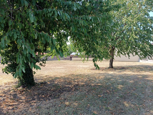 Media numero 23 di RUSTICO CON SPETTACOLARE GIARDINO NELLA FIABESCA GIASSICO DI CORMONS