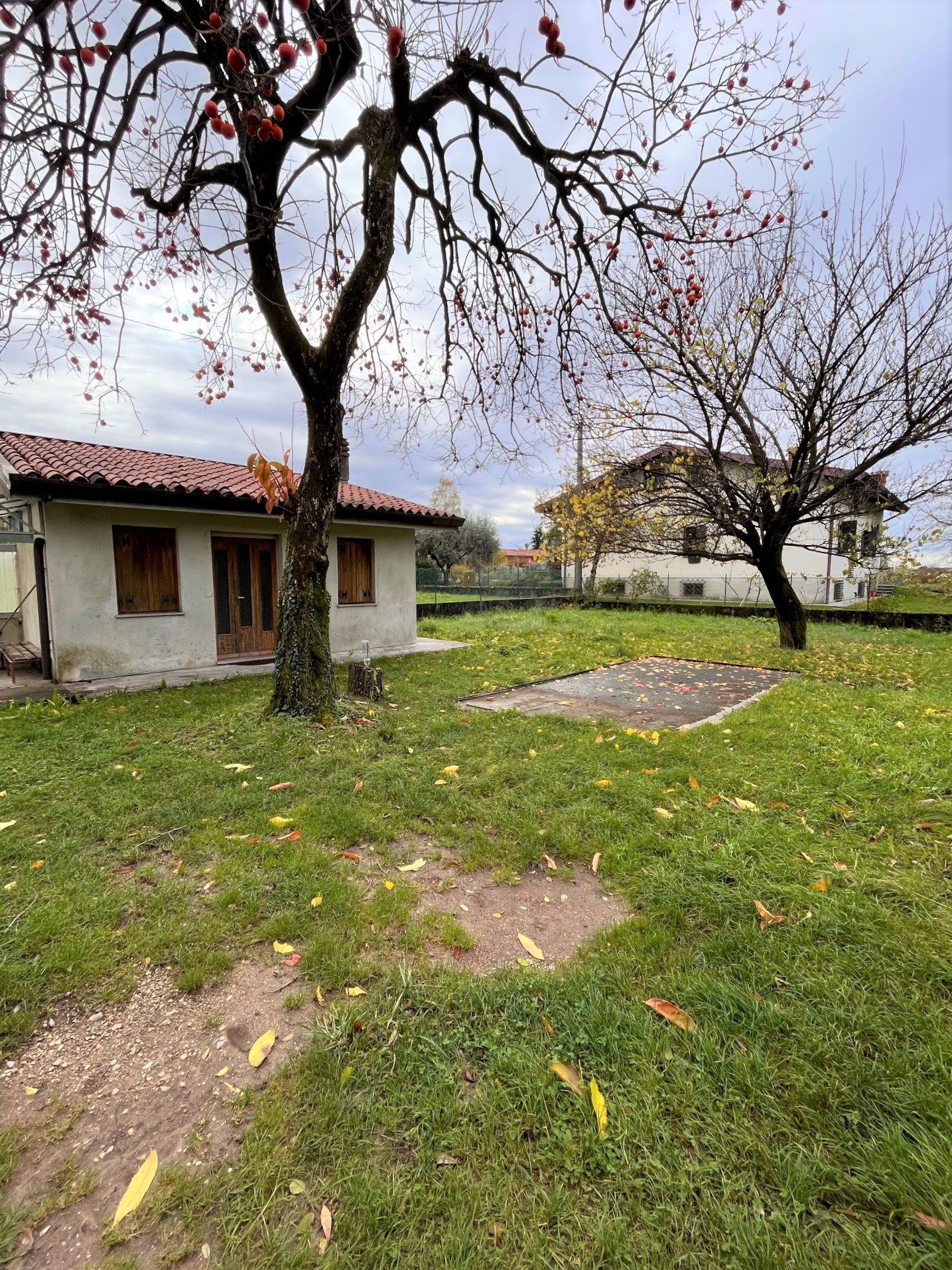 Media numero 19 di ARTEGNA CASETTA DI TESTA!