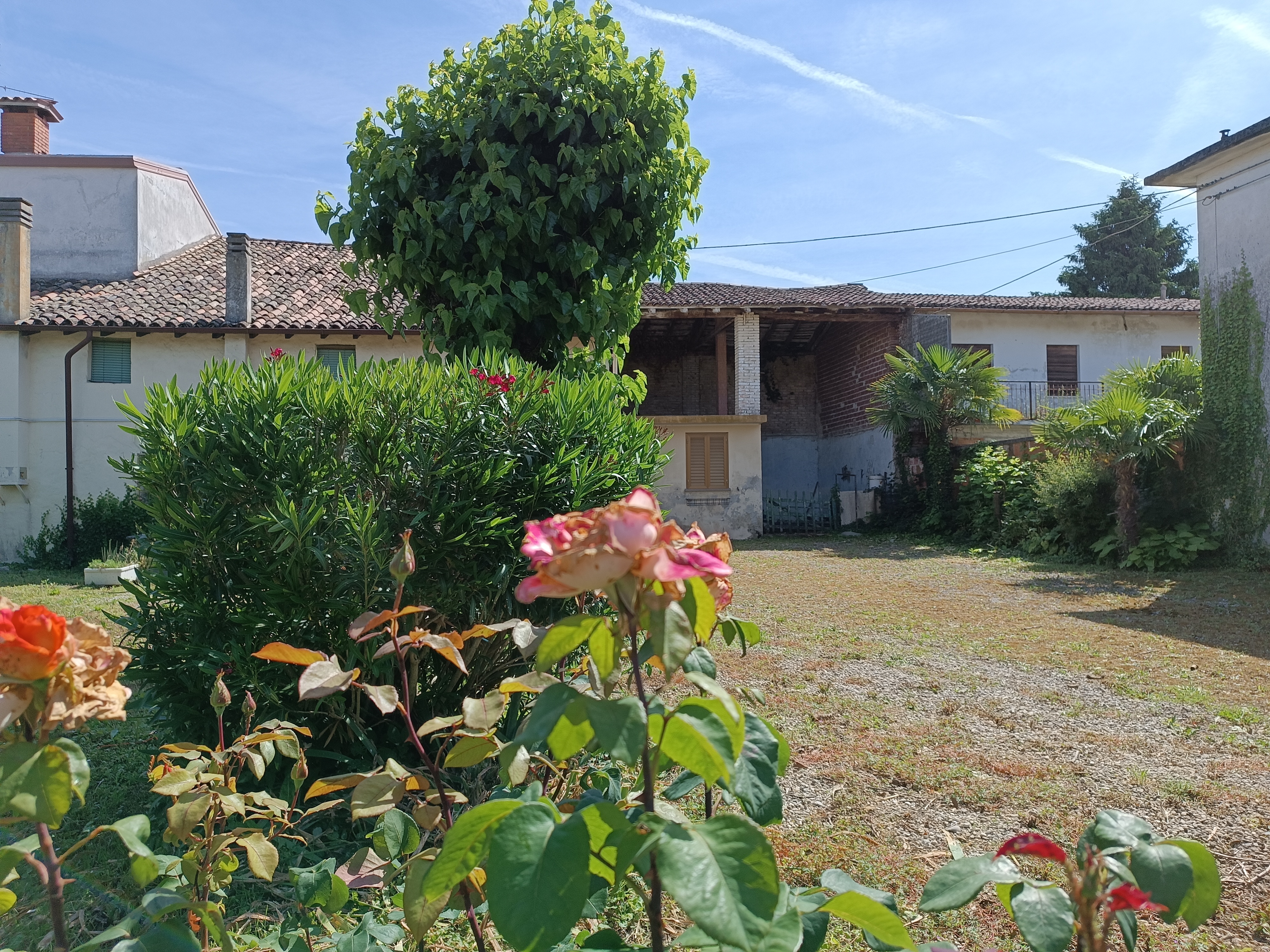Media numero 4 di RUSTICO CON GIARDINO ESCLUSIVO A SAN VITO AL TORRE