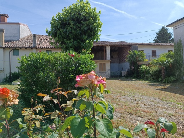 Media numero 4 di RUSTICO CON GIARDINO ESCLUSIVO A SAN VITO AL TORRE