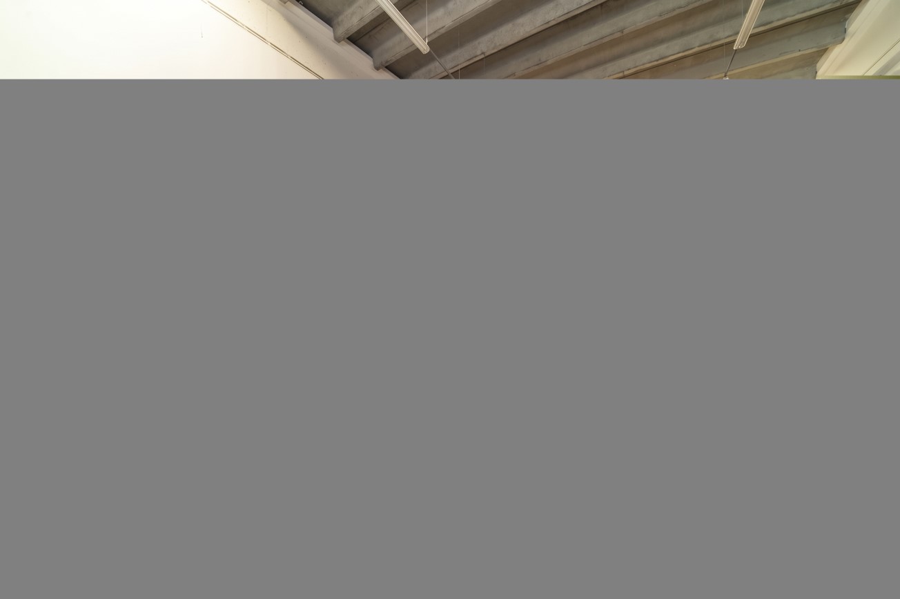 Media numero 18 di CAPANNONE + UFFICI (TRICESIMO)