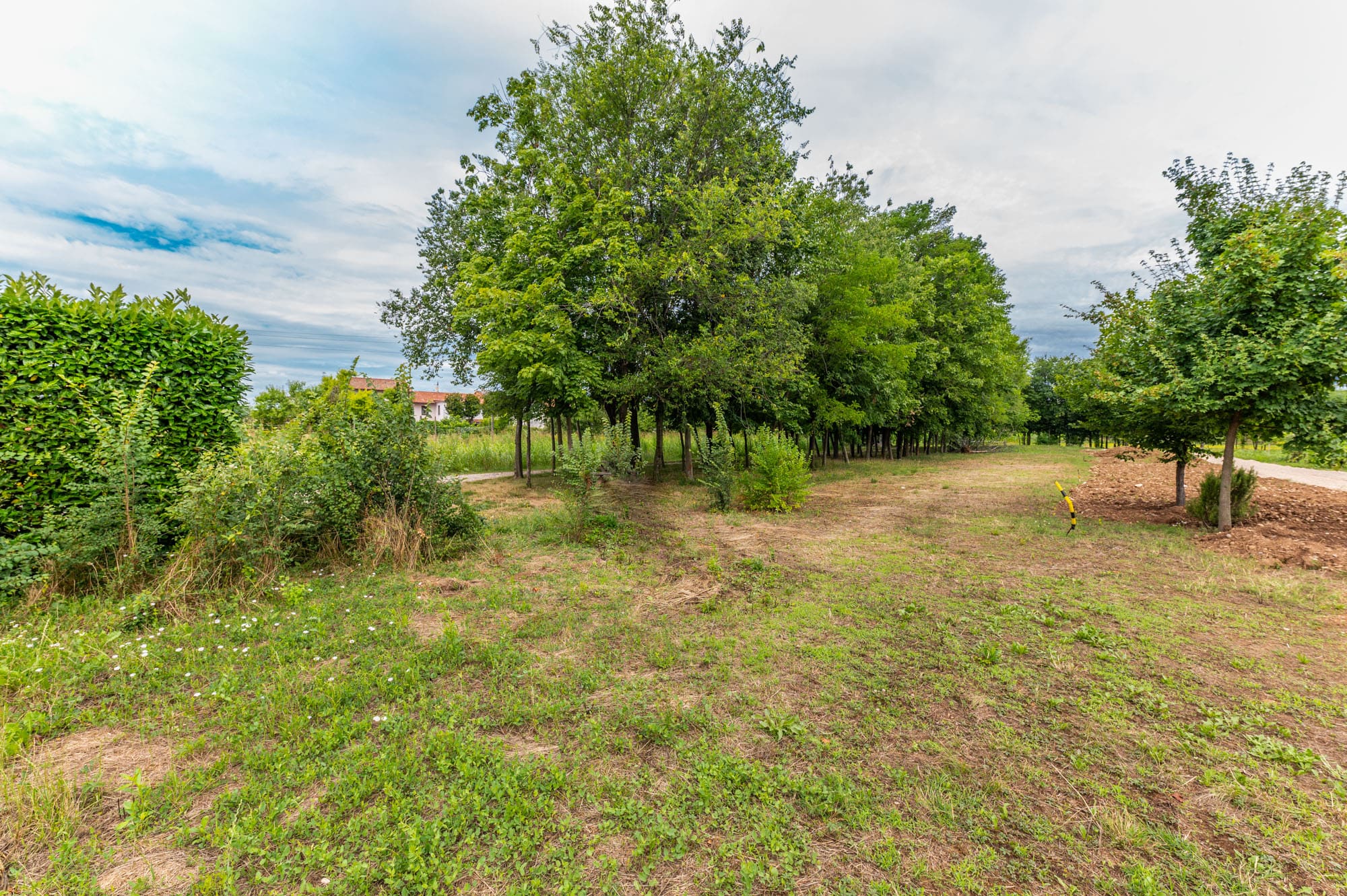 Media numero 44 di CASA SU TRE PIANI CON AMPIO ACCESSORIO DA RISTRUTTURARE A SEDEGLIANO