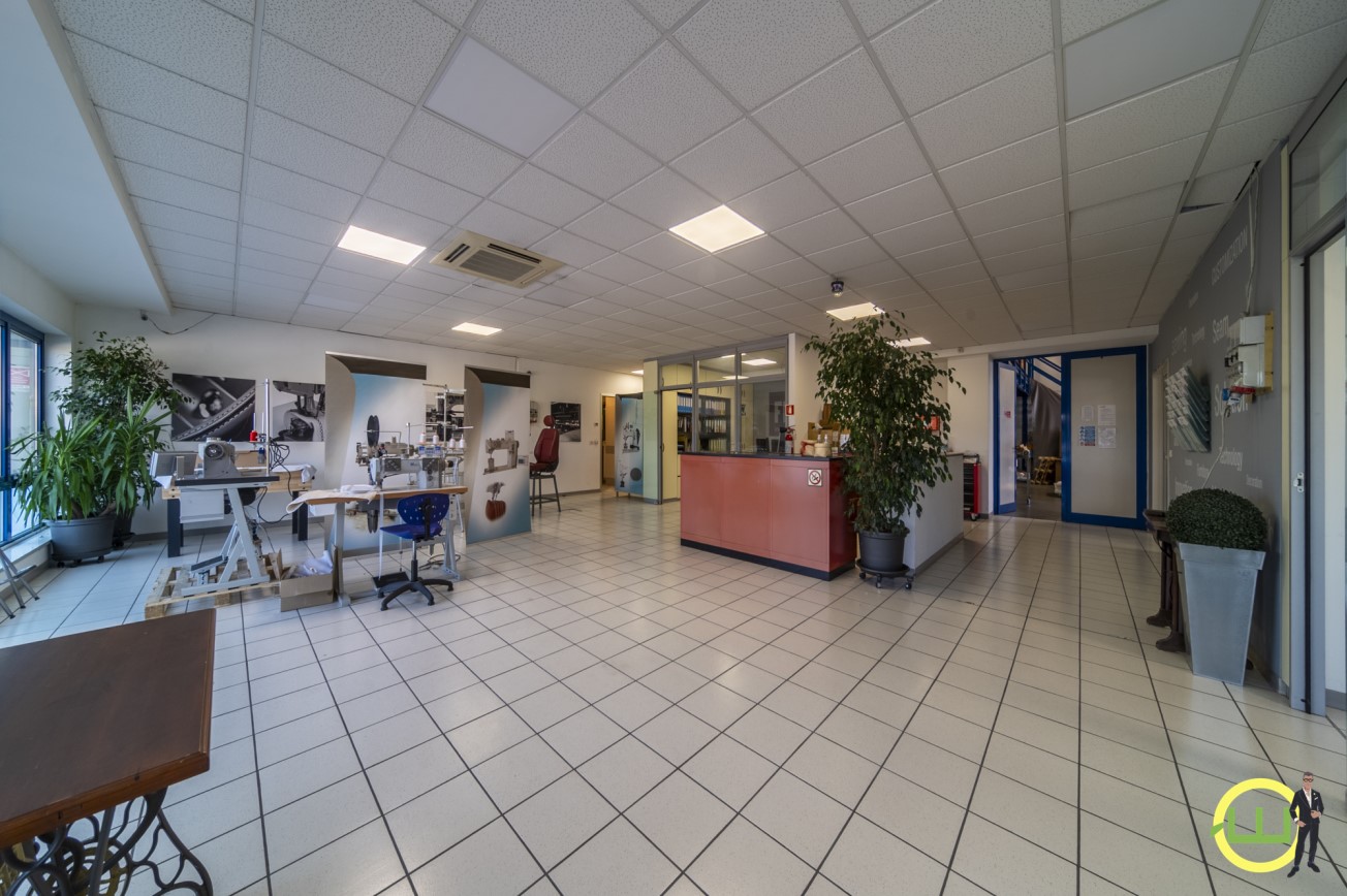 Media numero 5 di CAPANNONE + UFFICI (TRICESIMO)