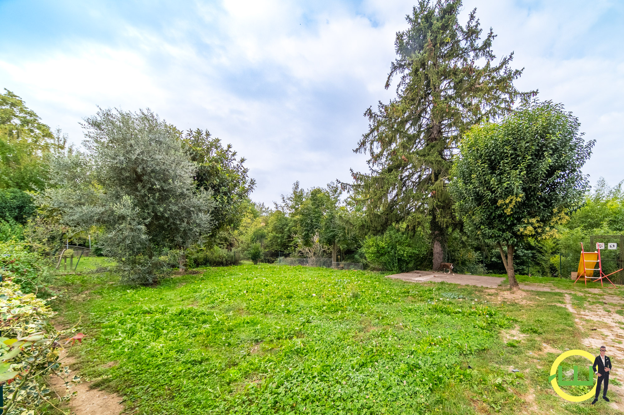 Media numero 24 di ARTEGNA CASA DI TESTA CON GIARDINO!