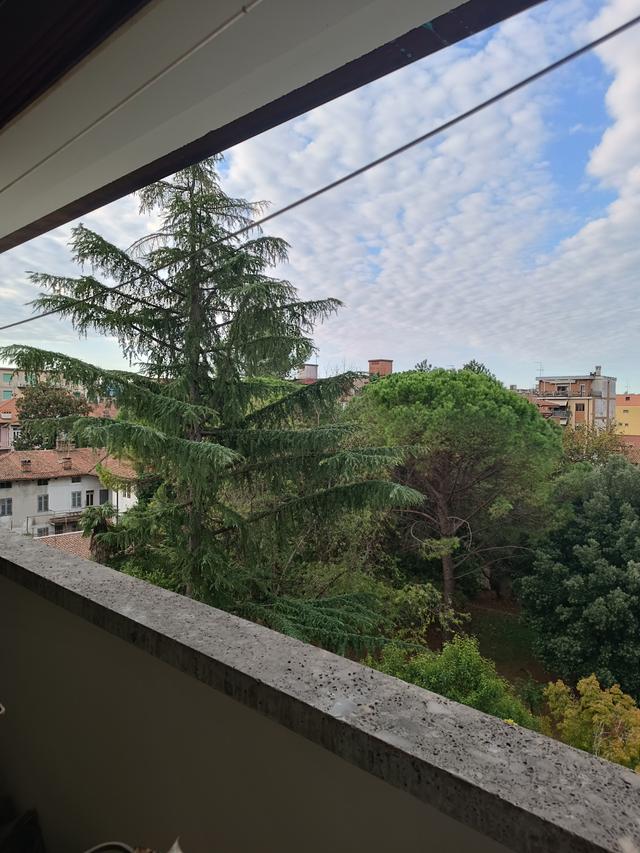 Media numero 19 di APPARTAMENTO TERRAZZATO CON UNA CAMERA DA LETTO IN CENTRO A GORIZIA