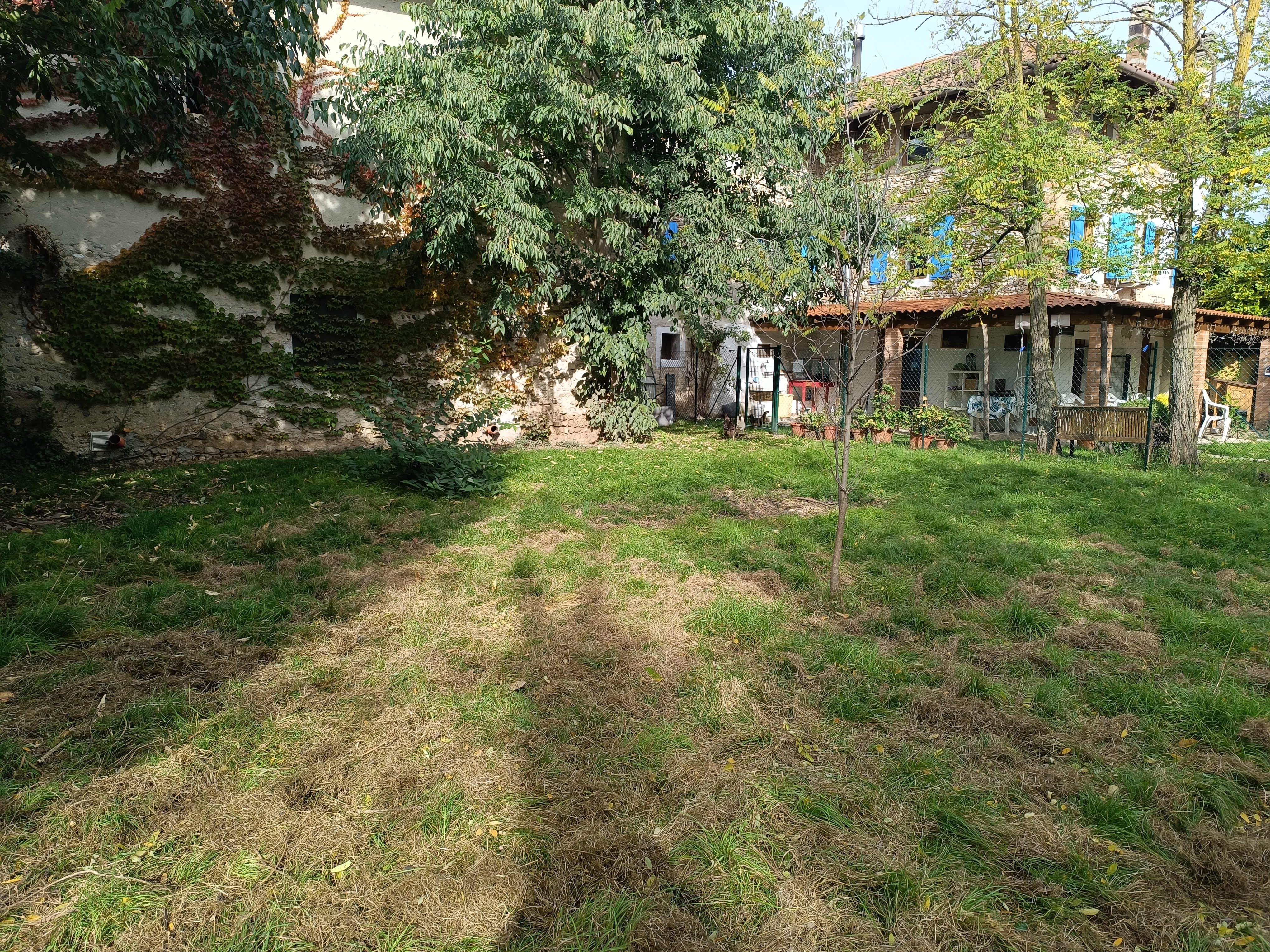 Media numero 29 di CARATTERISTICO TERRATETTO CON AREA VERDE A BEANO