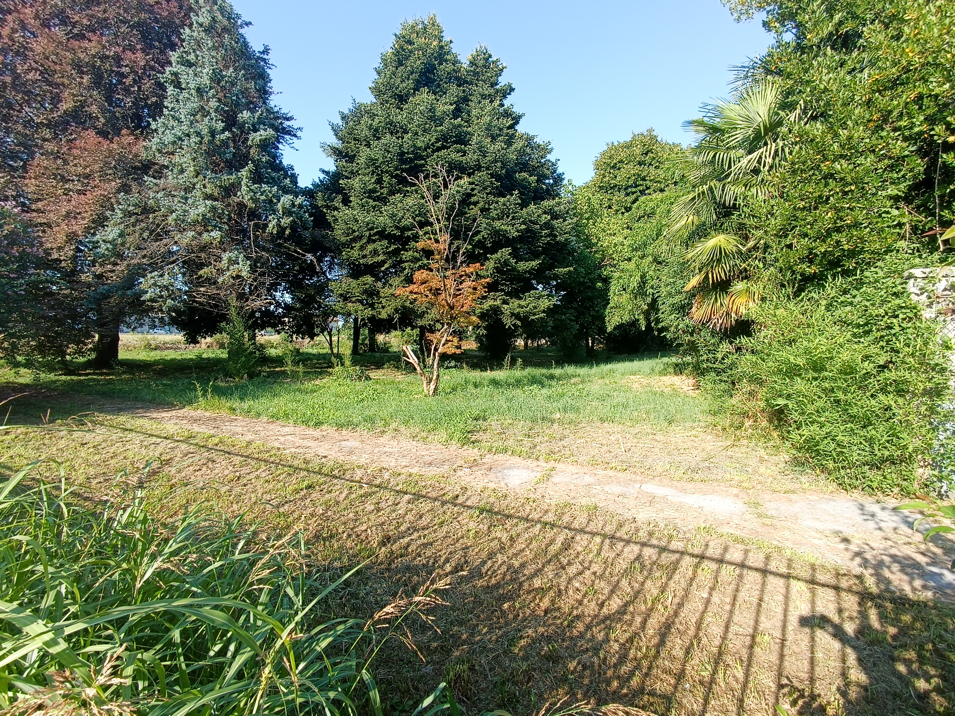 Media numero 41 di VILLA D'EPOCA CON STUPENDO PARCO A CORNO DI ROSAZZO