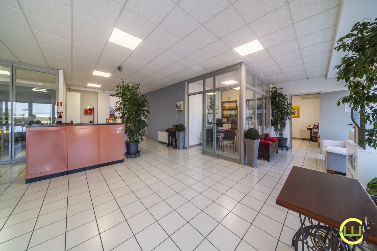 Media numero 3 di CAPANNONE + UFFICI (TRICESIMO)