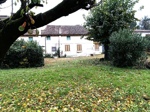 Media numero 15 di RUSTICO CON GIARDINO ESCLUSIVO A SAN VITO AL TORRE