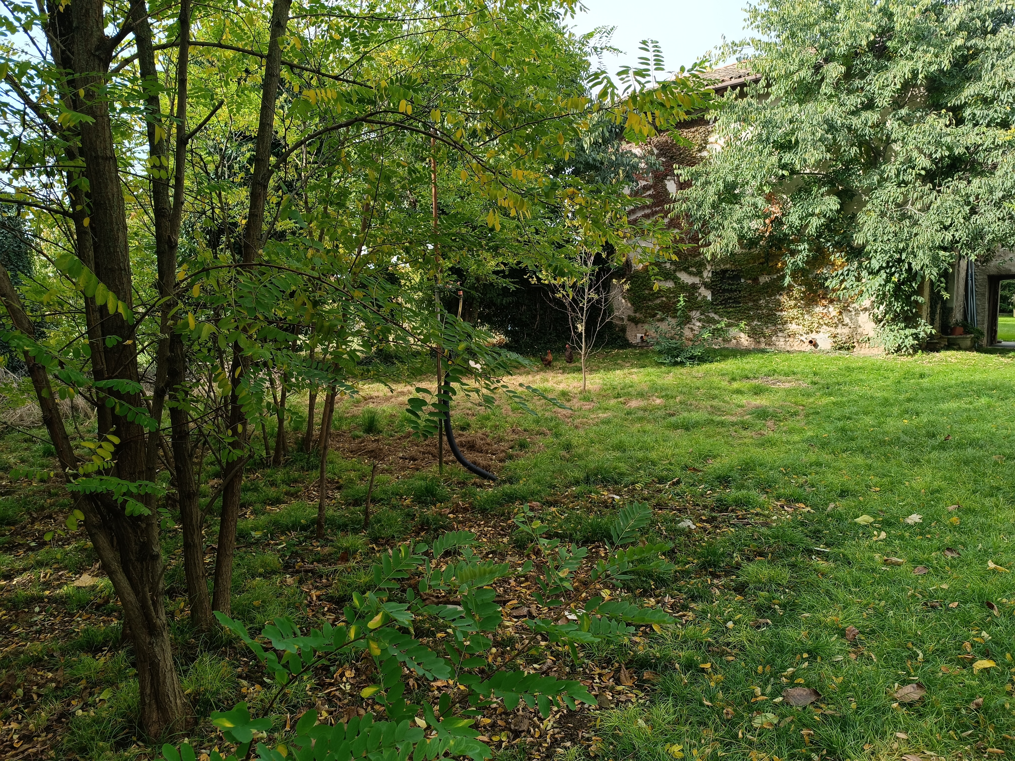 Media numero 27 di CARATTERISTICO TERRATETTO CON AREA VERDE A BEANO