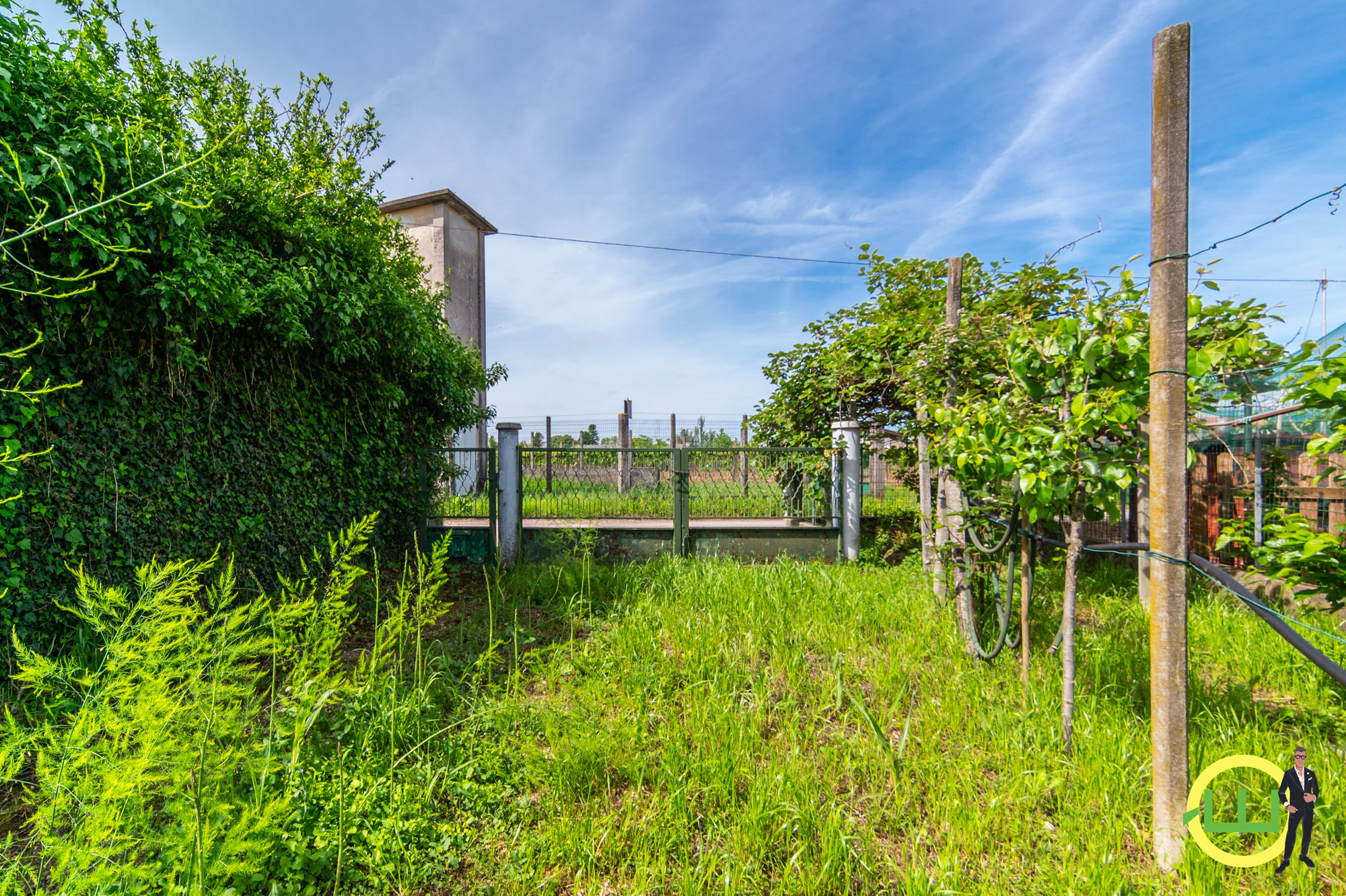 Media numero 56 di AMPIA E LUMINOSA CASA CON GIARDINO A BERTIOLO