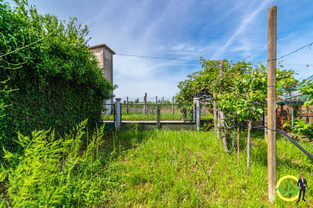 Media numero 56 di AMPIA E LUMINOSA CASA CON GIARDINO A BERTIOLO