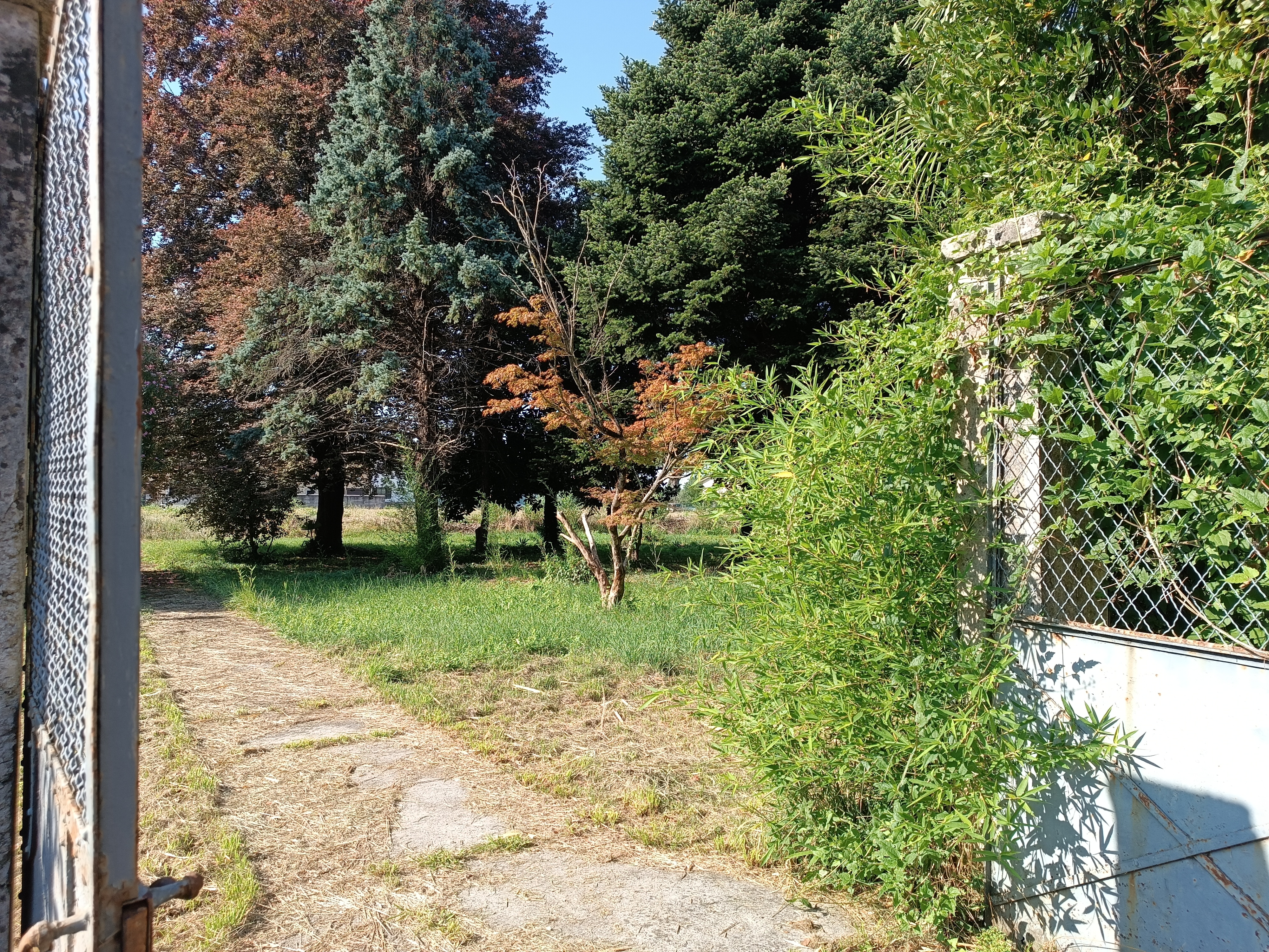 Media numero 46 di VILLA D'EPOCA CON STUPENDO PARCO A CORNO DI ROSAZZO
