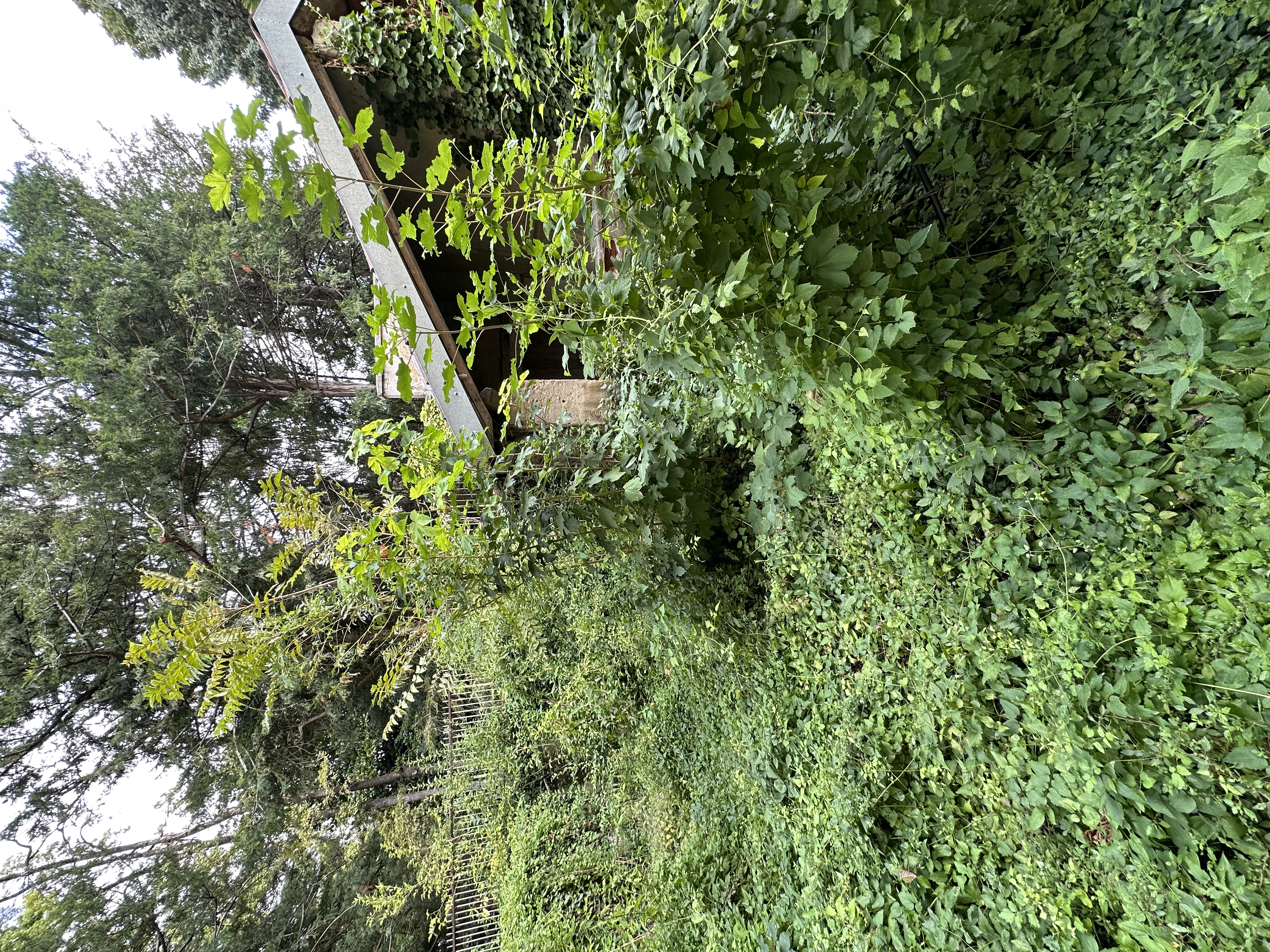 Media numero 28 di CASA A SCHIERA CORTE PORTA NUOVA UD