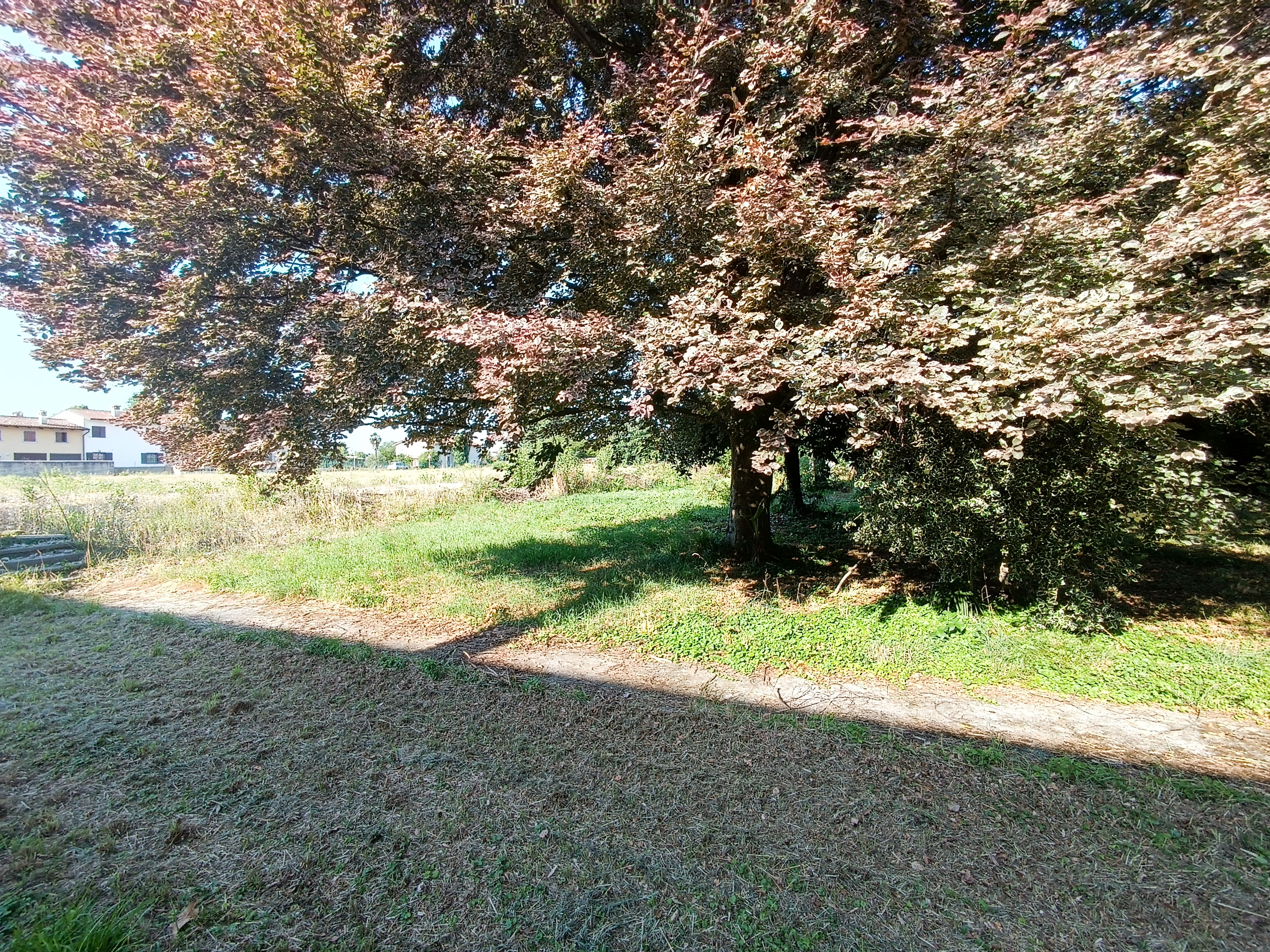 Media numero 43 di VILLA D'EPOCA CON STUPENDO PARCO A CORNO DI ROSAZZO