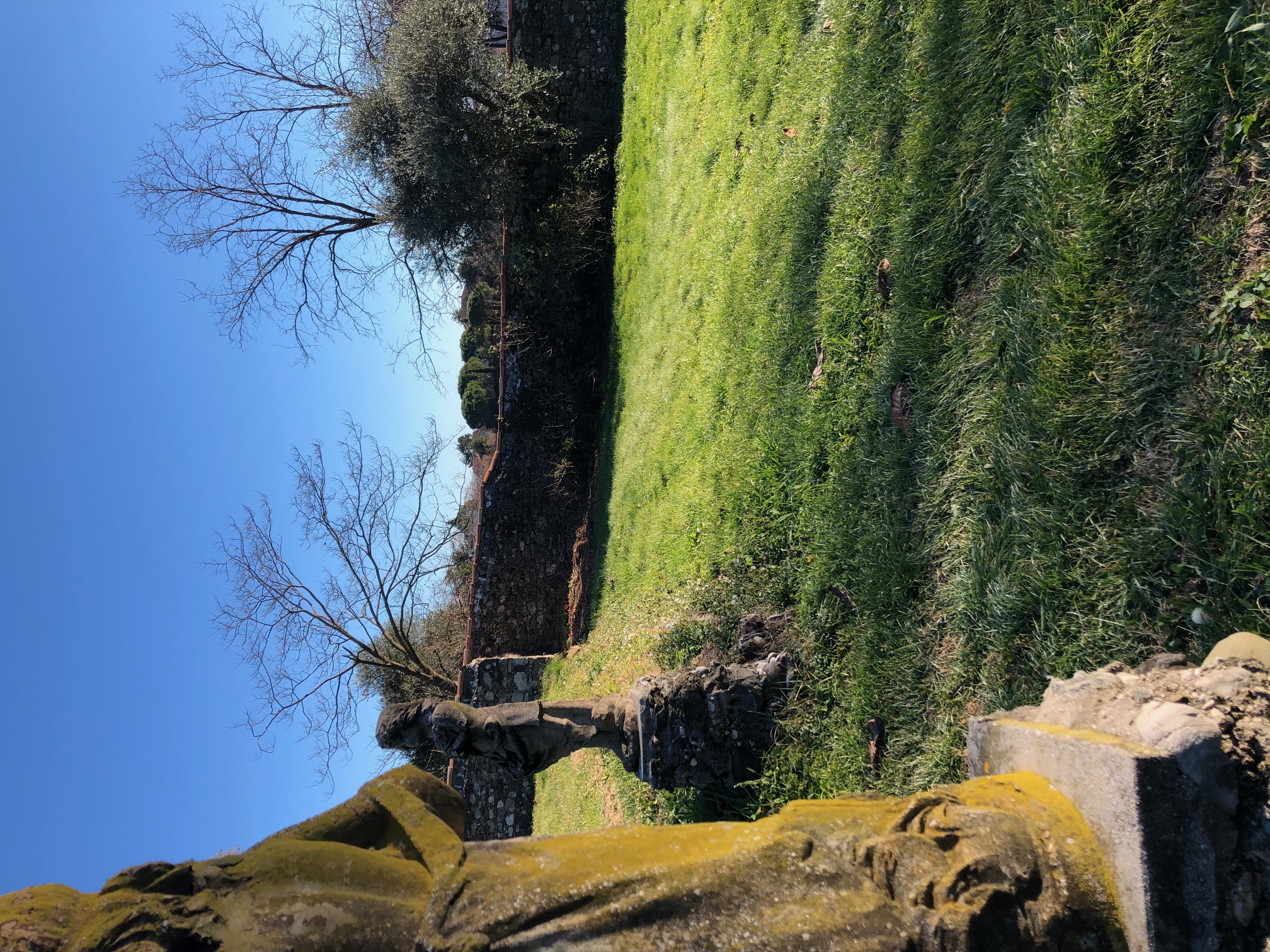 Media numero 8 di TERRENO EDIFICABILE RECINTATO DA STORICHE MURA ARTIGIANALI