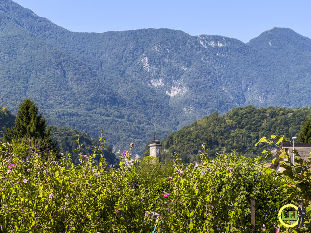 Media numero 6 di CAVAZZO CARNICO – UNA CASA DA VIVERE, DENTRO E FUORI