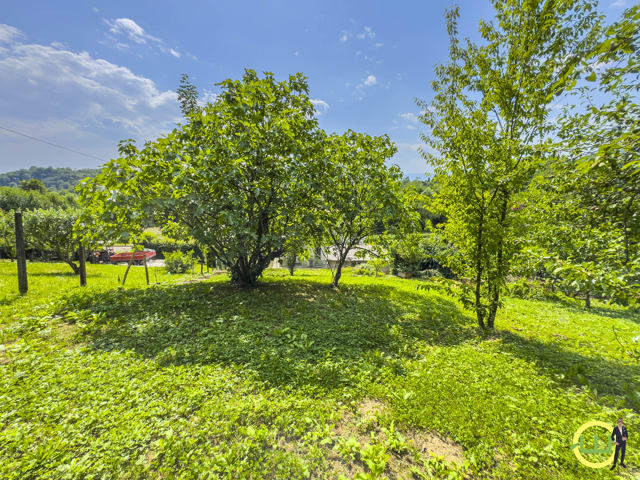 Media numero 19 di TARCENTO VILLETTA IMMERSA NEL VERDE!