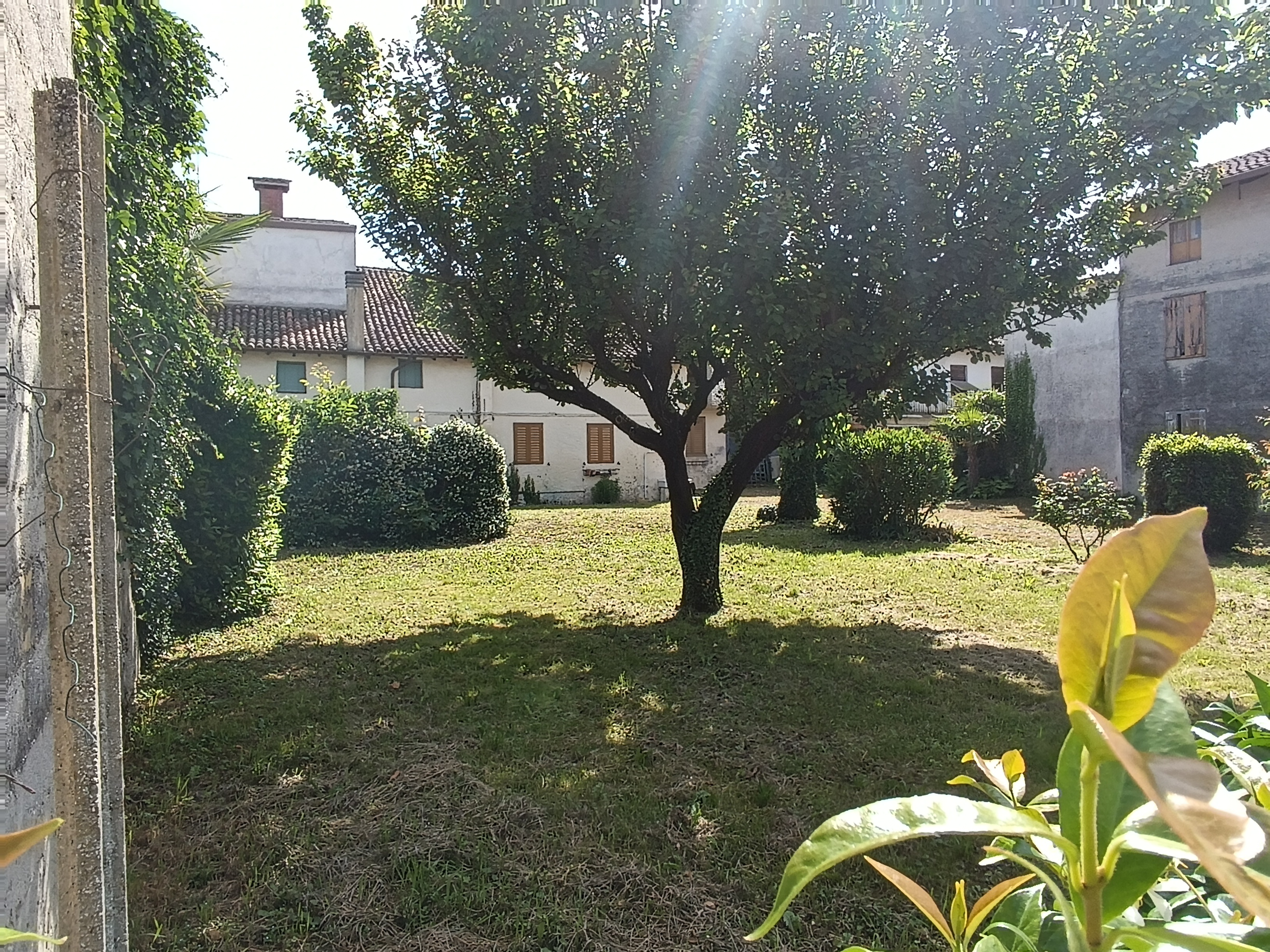 Media numero 5 di RUSTICO CON GIARDINO ESCLUSIVO A SAN VITO AL TORRE