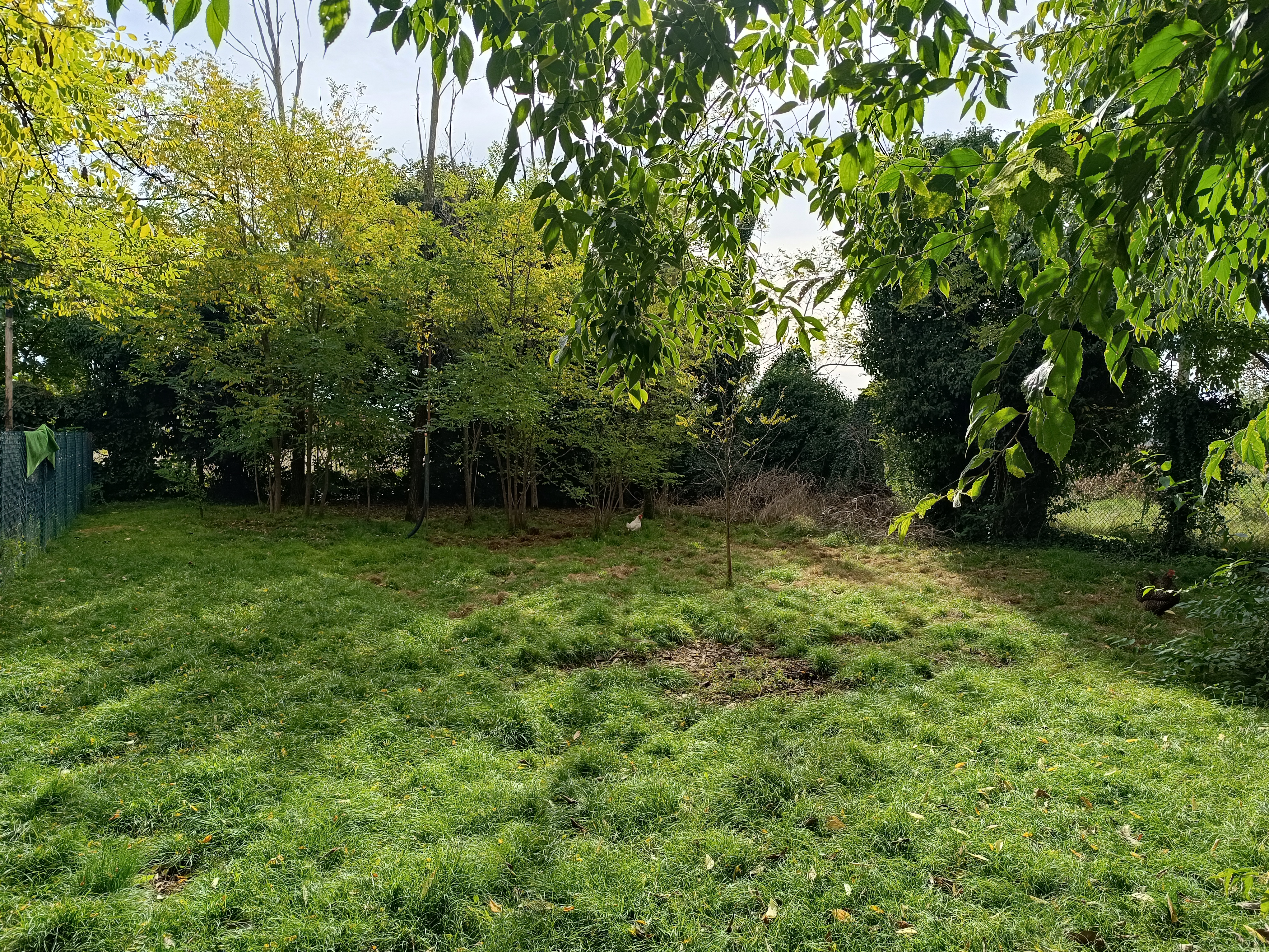 Media numero 26 di CARATTERISTICO TERRATETTO CON AREA VERDE A BEANO