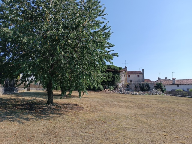 Media numero 21 di RUSTICO CON SPETTACOLARE GIARDINO NELLA FIABESCA GIASSICO DI CORMONS