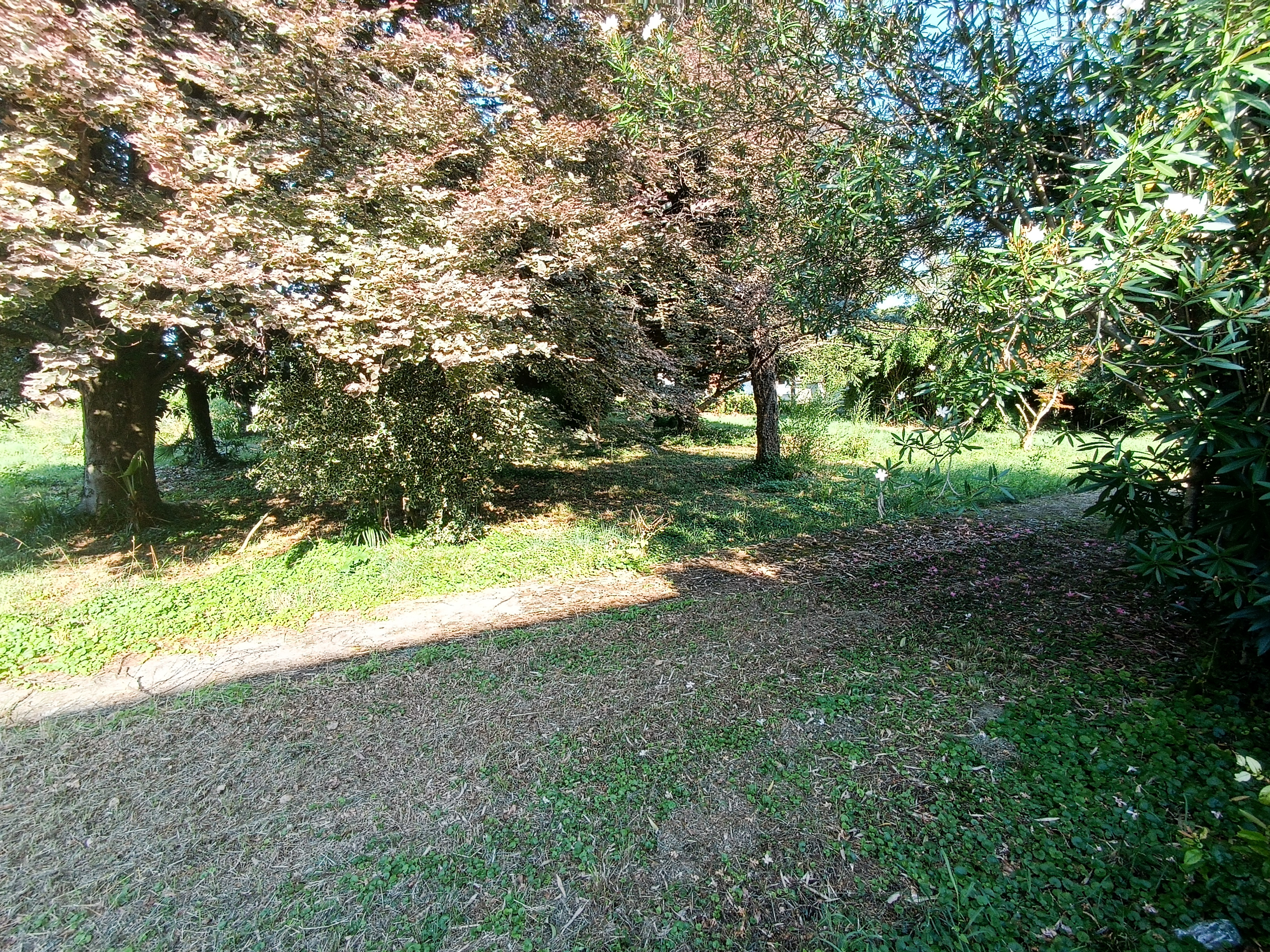 Media numero 42 di VILLA D'EPOCA CON STUPENDO PARCO A CORNO DI ROSAZZO