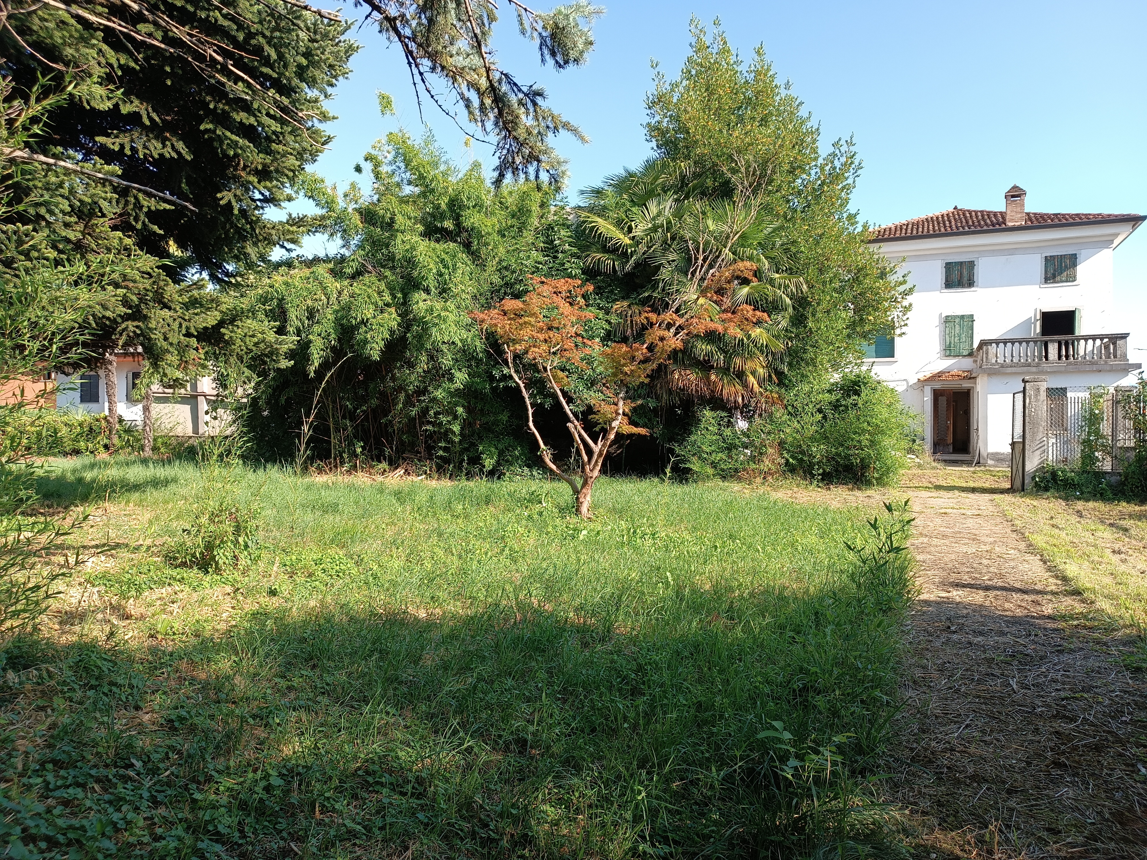Media numero 48 di VILLA D'EPOCA CON STUPENDO PARCO A CORNO DI ROSAZZO