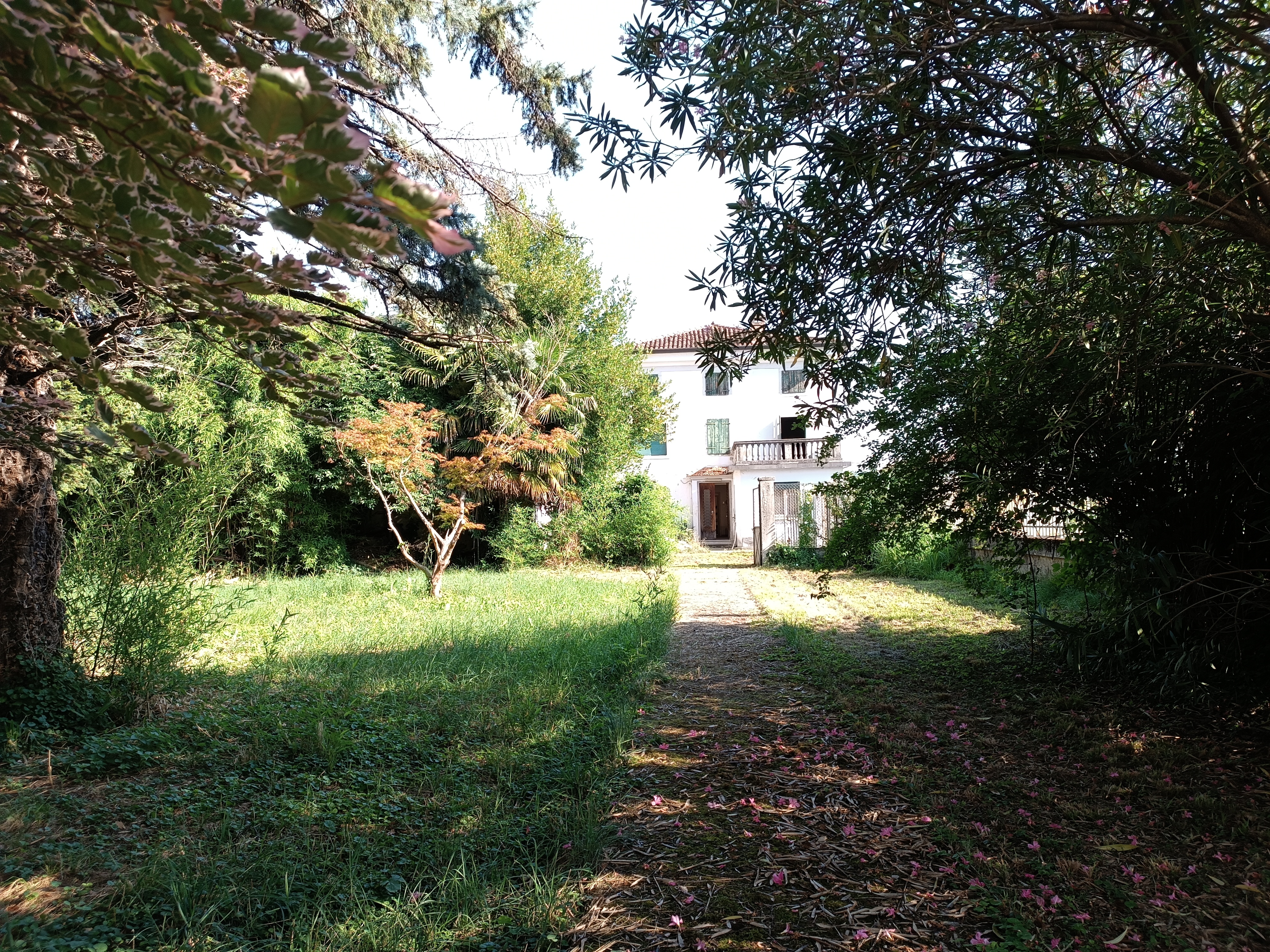 Media numero 47 di VILLA D'EPOCA CON STUPENDO PARCO A CORNO DI ROSAZZO