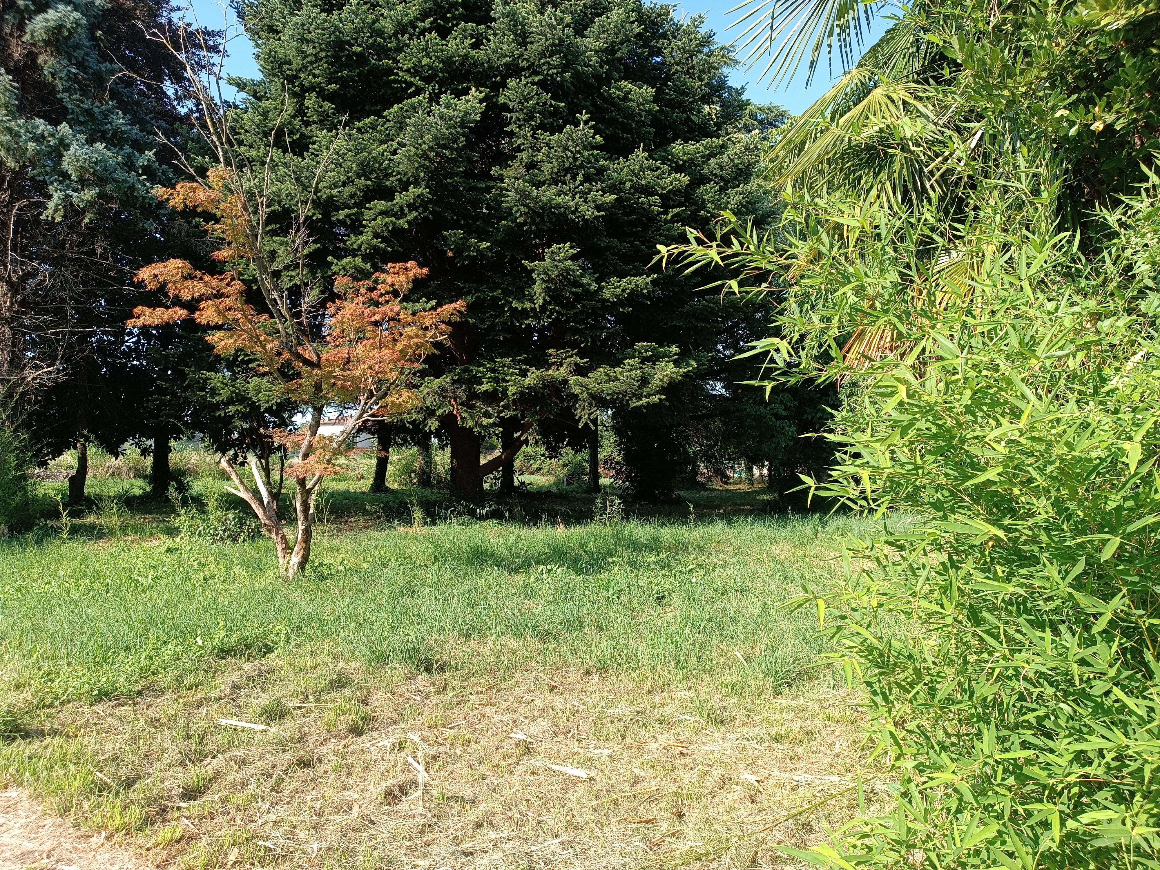 Media numero 49 di VILLA D'EPOCA CON STUPENDO PARCO A CORNO DI ROSAZZO