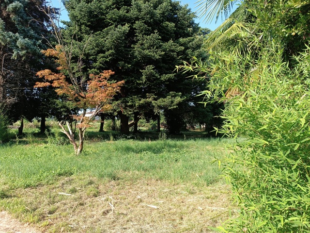 Media numero 49 di VILLA D'EPOCA CON STUPENDO PARCO A CORNO DI ROSAZZO