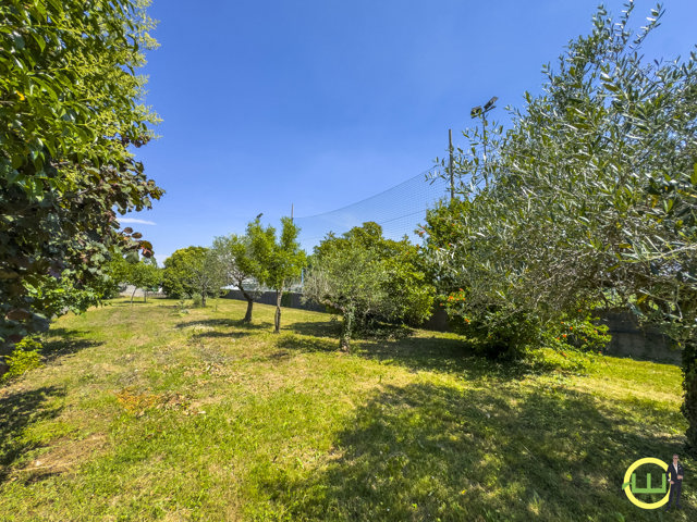 Media numero 30 di APPARTAMENTO IN QUADRIFAMILIARE CON GIARDINO  E SENZA SPESE A LOVARIA