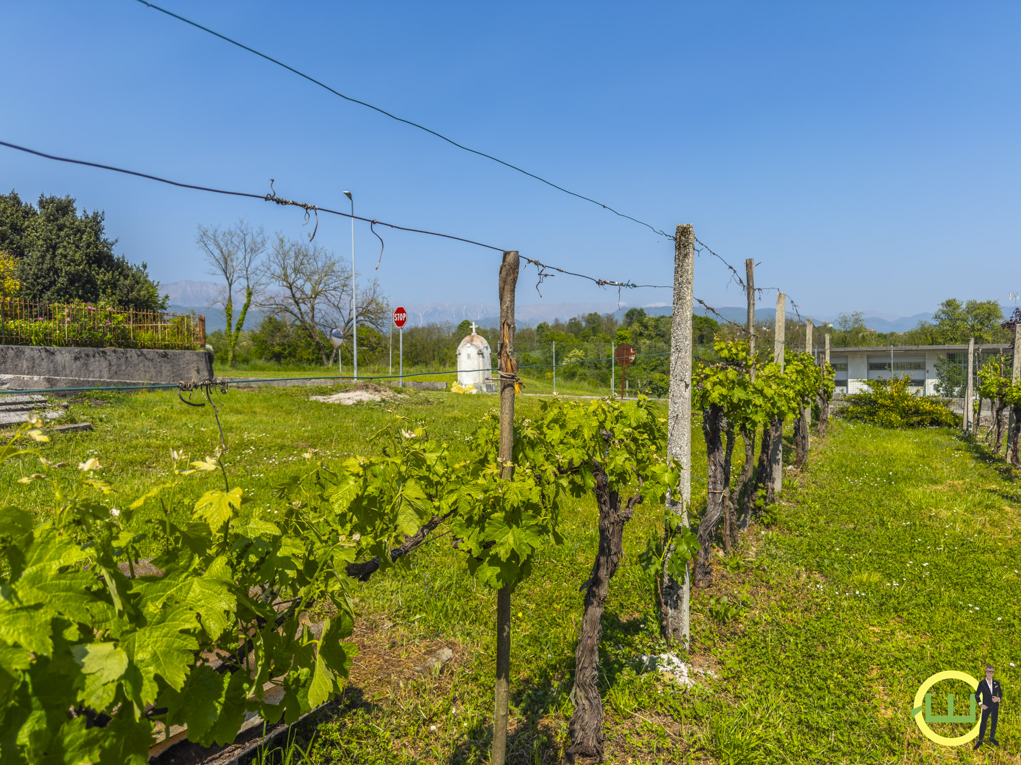 Media numero 15 di TREPPO GRANDE CASA INDIPENDENTE CON AMPIO SCOPERTO!