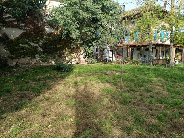 Media numero 28 di CARATTERISTICO TERRATETTO CON AREA VERDE A BEANO