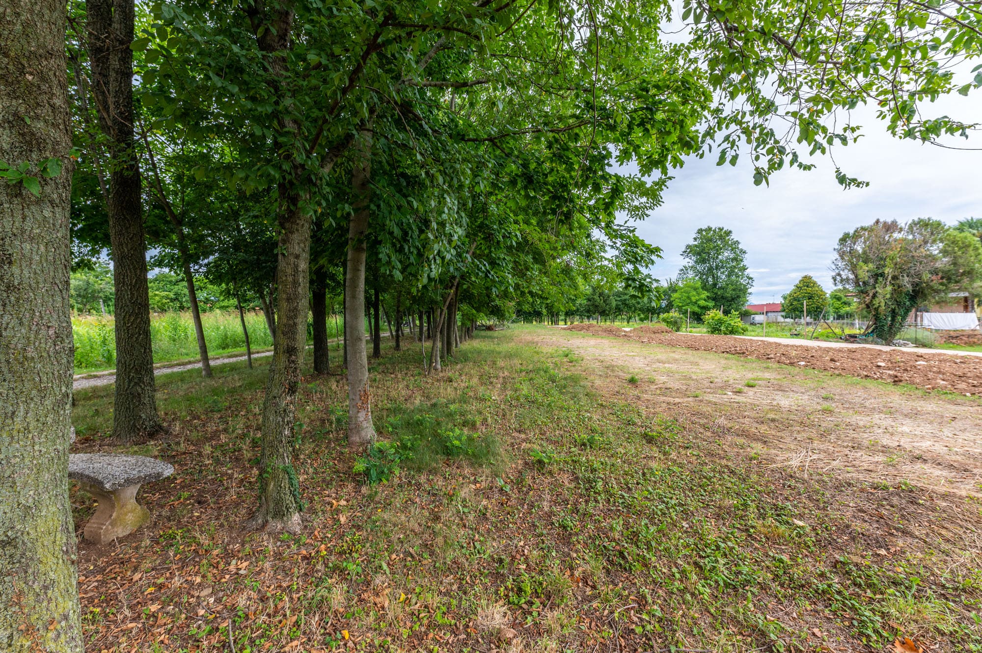 Media numero 45 di CASA SU TRE PIANI CON AMPIO ACCESSORIO DA RISTRUTTURARE A SEDEGLIANO