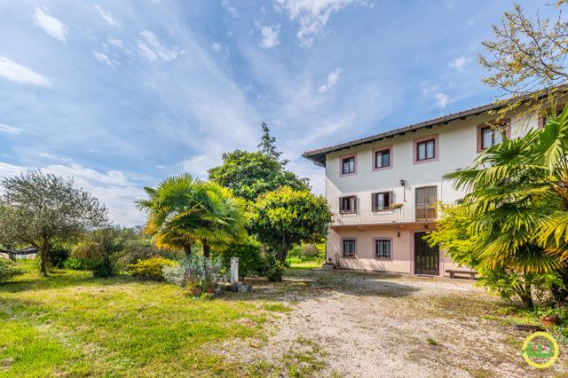 Immagine di CASA FRIULANA NEL VERDE A CASSACCO!